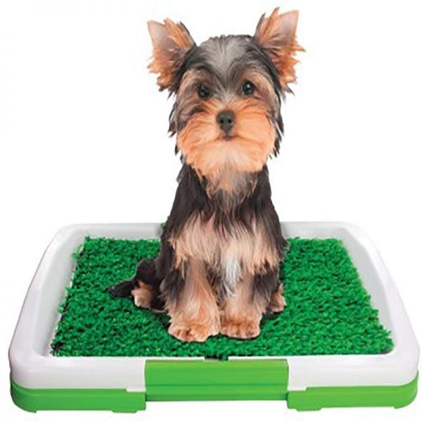 Indoor Pets and Puppy Potty Trainer Tray